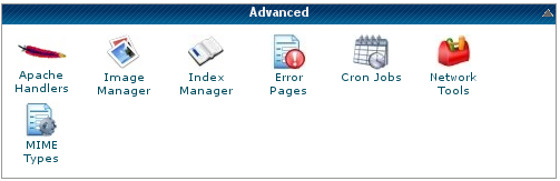 Cpanel custom error pages